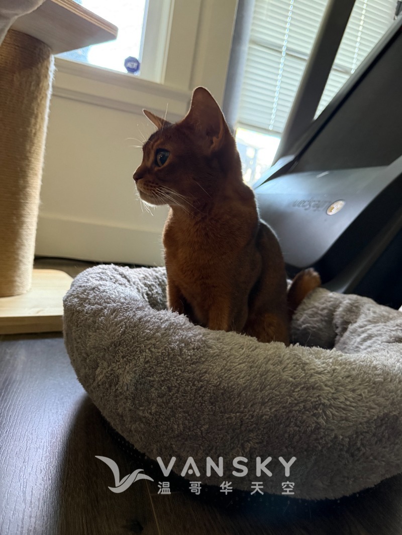 260423195128_Weixin Image_20260423195040_2_13.jpg